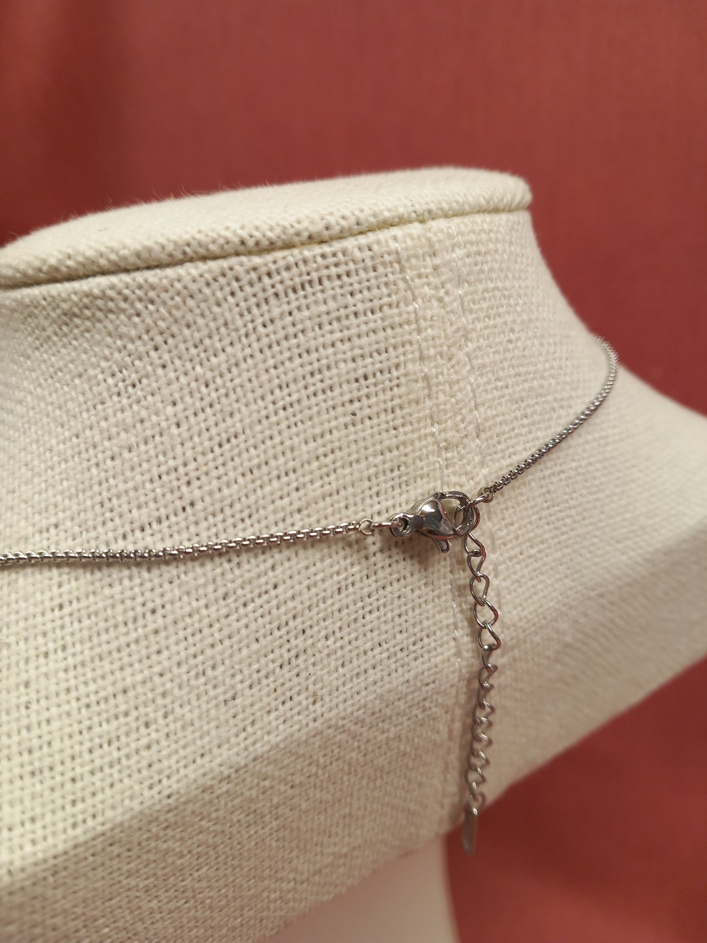 Collar y colgante de perro 🐩