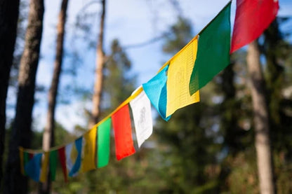 PAQUETE DE 5 ROLLOS DE BANDERAS TIBETANAS 10X10CM SÍMBOLO ANCESTRAL DE PAZ Y ENERGÍA POSITIVA EN TU HOGAR. ENVÍO GRATIS SIN PEDIDO MÍNIMO.