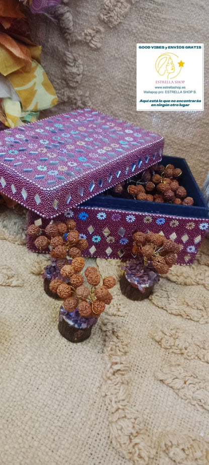 2 arbolitos de Rudraskha, bellaza artesanal y árboles de gran importancia en las culturas hinduísta y budista,destacando propiedades muy positivas. 2 unidades y es Envío gratis sin pedido mínimo.