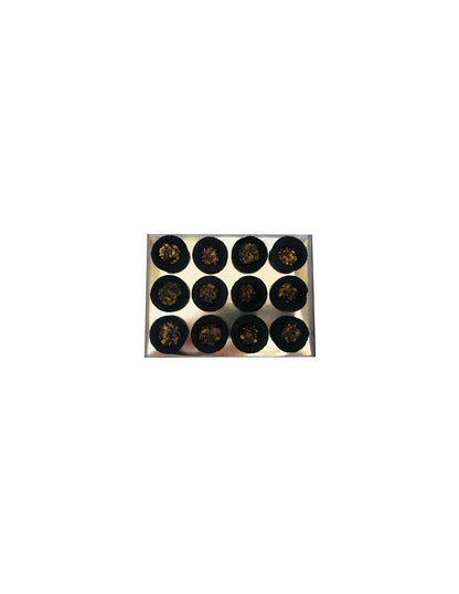 CAJA CON 12 COPAS DE INCIENSO NATURAL RESINA DE LA INDIA SÁNDALO SRI VANI.ENVÍO GRATIS.